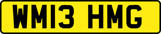 WM13HMG