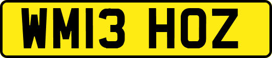 WM13HOZ