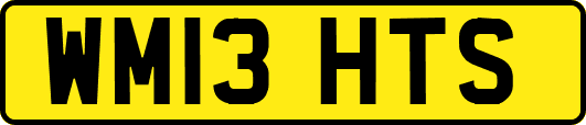 WM13HTS