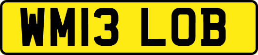 WM13LOB