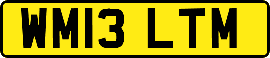 WM13LTM