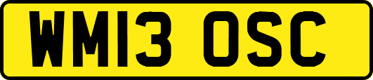 WM13OSC