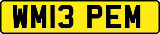 WM13PEM