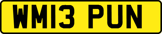 WM13PUN