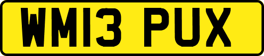 WM13PUX