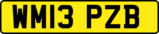WM13PZB