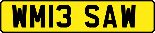 WM13SAW