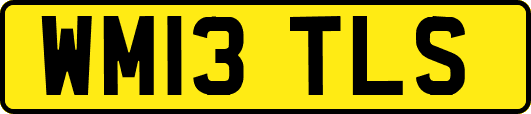 WM13TLS