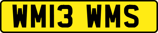 WM13WMS