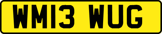 WM13WUG