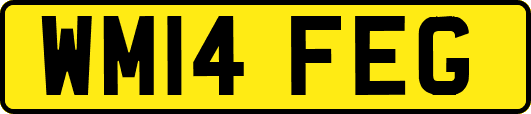 WM14FEG