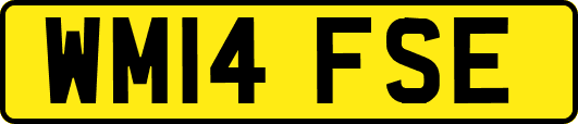 WM14FSE