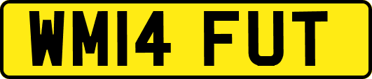 WM14FUT