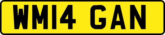 WM14GAN