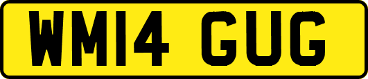 WM14GUG