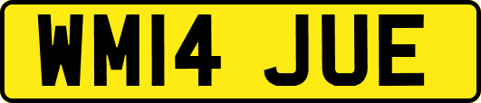 WM14JUE