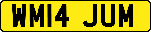 WM14JUM