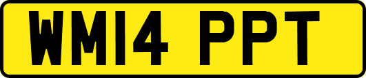 WM14PPT