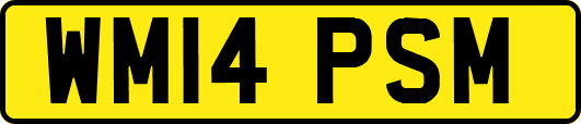 WM14PSM