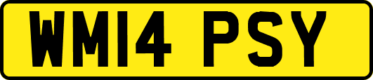 WM14PSY