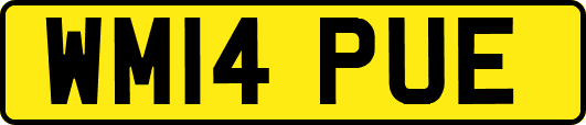 WM14PUE