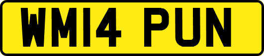 WM14PUN