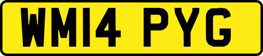 WM14PYG
