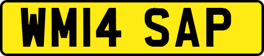 WM14SAP