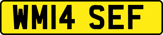 WM14SEF