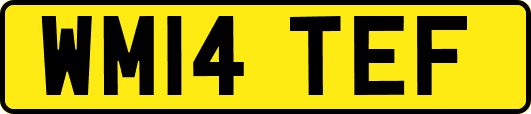 WM14TEF
