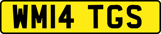 WM14TGS