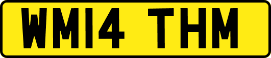 WM14THM