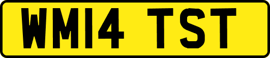 WM14TST