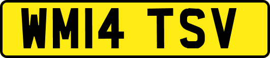 WM14TSV