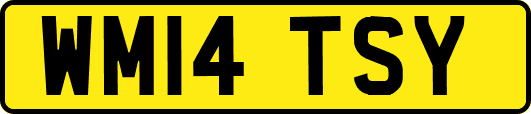 WM14TSY