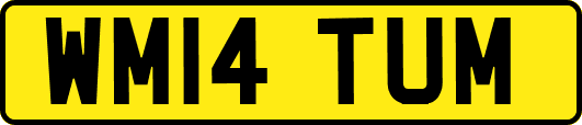 WM14TUM