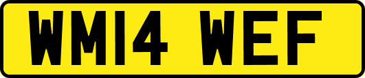 WM14WEF