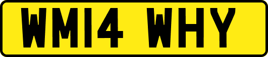 WM14WHY