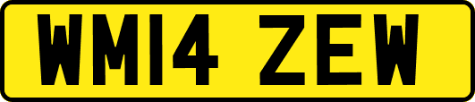 WM14ZEW