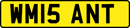 WM15ANT