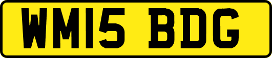 WM15BDG
