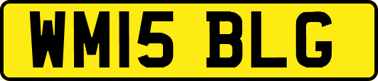 WM15BLG