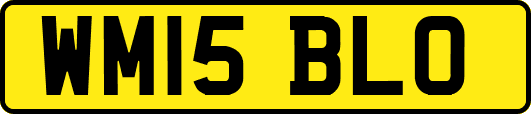 WM15BLO