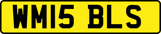 WM15BLS
