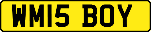WM15BOY