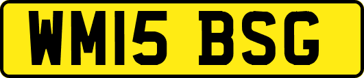 WM15BSG