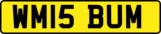 WM15BUM
