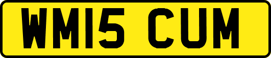 WM15CUM