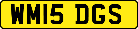 WM15DGS