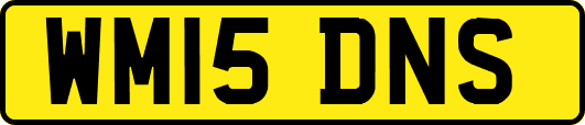 WM15DNS